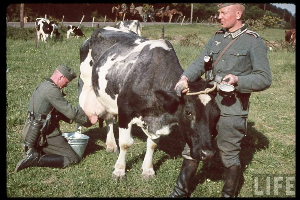 german army soldiers getting milk.jpg